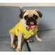 thumbnail image 2 of Collar de Navidad para mascotas, perros, gatos, pajarita, collar de Navidad para perro mediano con pajarita, collar ajustable para perros y gatos (Papá Noel, S) Sailing Electrónica, 2 of 4