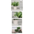 thumbnail image 3 of 1 paquete de Mini plantas artificiales de eucalipto en maceta, plantas artificiales para el hogar, oficina, granja, mesa de baño, estante, decoración interior(Tipo A32)(1 pieza), 3 of 5