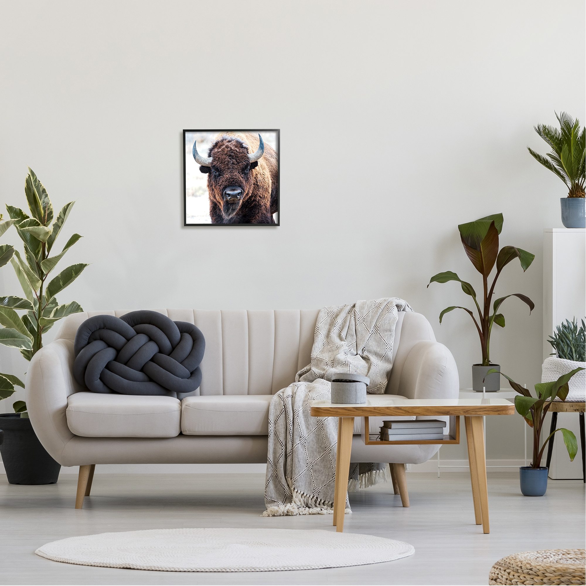 Stupell Industries American Bison Photography Animals & Insects Photography Black Framed Art Print Wall Art, 17 x 17