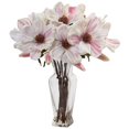 thumbnail image 1 of Magnolia en Vase Galbé, 1 of 1