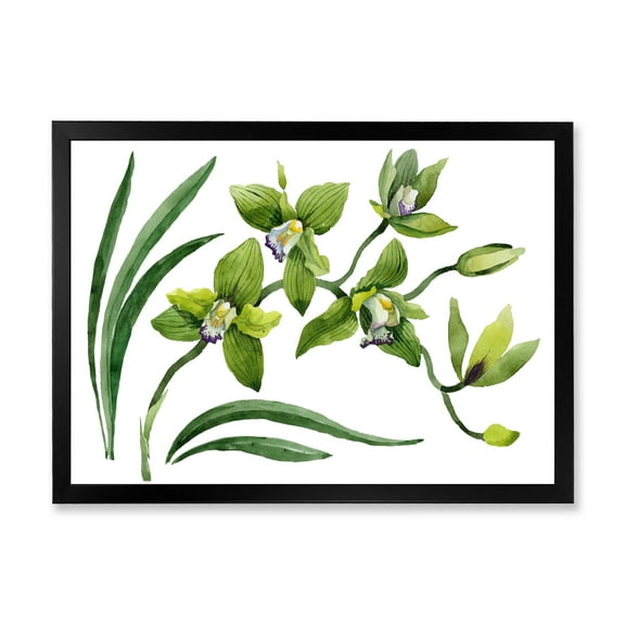 Designart 'Green Orchid Flowers On White' Traditional Framed Art Print