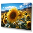 thumbnail image 2 of Designart "Spain Sunflower landscapes Heat Of Inland II" Floral Canvas Wall Art, 2 of 5