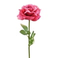 thumbnail image 2 of DII Fleur Rose Ouverte (Ensemble de 6), 2 of 2