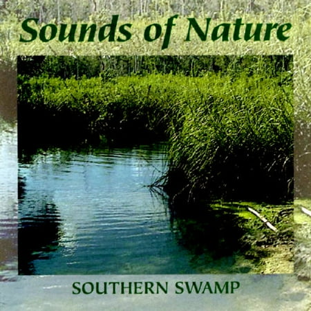 Southern Swamp