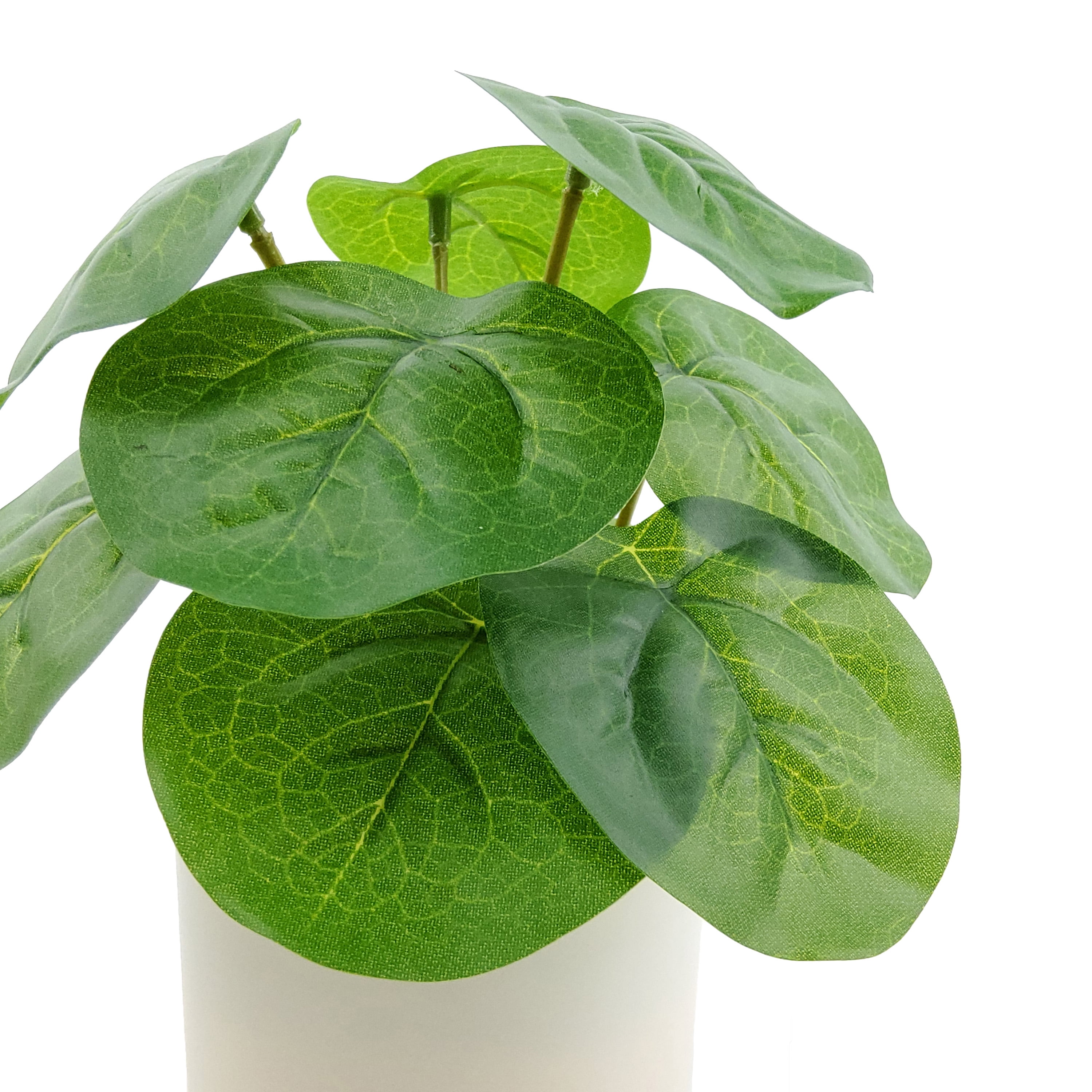 Mainstays Indoor Artificial 7in Money Plant in Pot, Green Color.