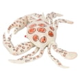 thumbnail image 4 of Crab Toy, Educational Interesting Vivid Shape Animal Crab Toy Easy   For Home Decoration, 4 of 8