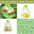 thumbnail image 5 of 100PC Clear Mesh Fruit Protector Bag, Outdoor Garden Hanging Storage Bag, Colorful Portable Fruit Protector Bags with Rope, Plant Flower Netting Cover Supplies with 3 Different Sizes, 5 of 5