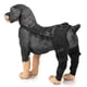 thumbnail image 5 of Adjustable Canine Hip Brace with Leg Support and Protective Joint Wrap for Recovery, 5 of 5