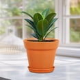 thumbnail image 4 of 4 inch Small Plastic Nursery Pots, 16 Pack Plant Pots for Indoor Outdoor Plants, Flower Pots with Drainage Holes and Saucers, Decorative Seedling Starter Planters for House Plants, White, 4 of 5