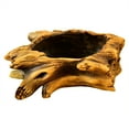 thumbnail image 1 of Coofit Plant Pot Creative Tree Stump Design Succulent Vase Flower Pot for Home Garden, 1 of 7