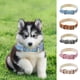 thumbnail image 4 of Gato Mascota Anillo de Luz Reflectante Gato Instagram Viento Cuero Check Dog, 4 of 5