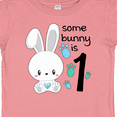 thumbnail image 4 of Inktastic Somebunny is One First Birthday Bunny Boys or Girls Baby T-Shirt, 4 of 5