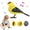 Yellow, variant on U.S Decorative Home Singing Chirping Bird Toy Interactive Battery Operated