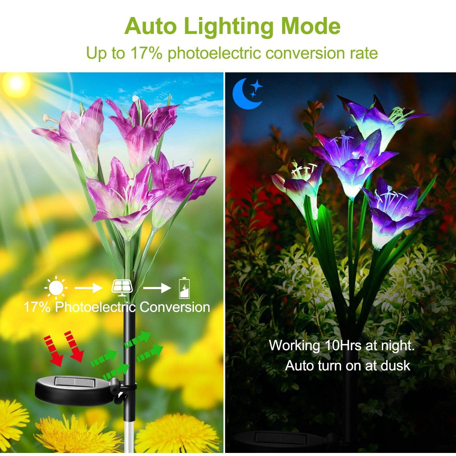 2-Pack Solar Lily Flower Garden Lights with 7-Color Changing LEDs, IP65 Waterproof, Adjustable Stems, Auto On/Off for Pathway Garden Yard Decor