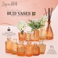 thumbnail image 2 of Spec101 Small Bud Vases for Flowers - 12pk Apricot Crush Mini Glass Bud Vase Set, 2 of 2
