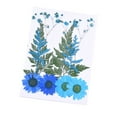thumbnail image 4 of Cateissary Flores secas, flores prensadas, múltiples artesanías florales, accesorios de bricolaje, artículos para el hogar para tarjetas de juego de flores azules 5Conjunto, 4 of 6