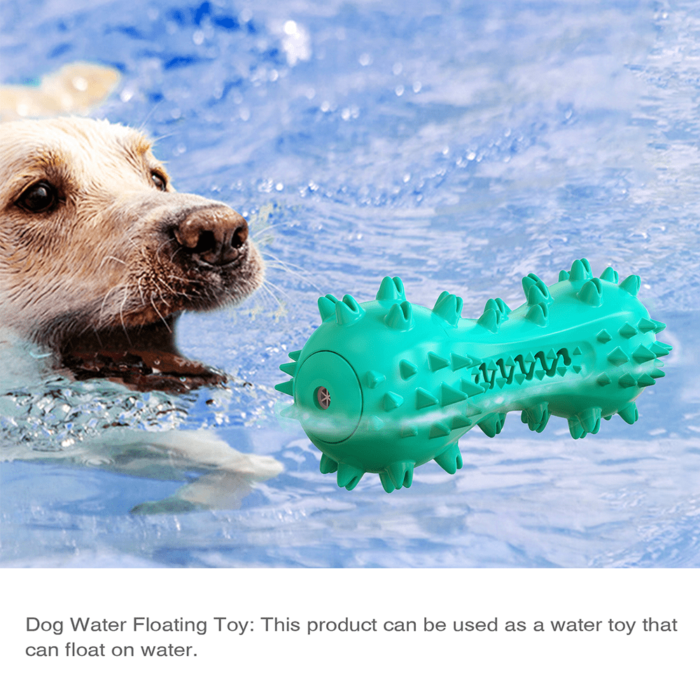 Freeze IT Popsicle Dog Chew Toy, Teeth Cleaning, Chew-Resistant, Floating Dog  Toy, Add Toothpaste, Perfect Summer Toy for Dogs