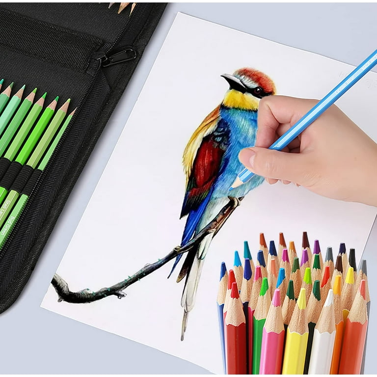 Sketch Pencils For Drawing,41 Piece Drawing Pencils,Colored Pencils Art Set  with Drawing Tool in Pop Up Zipper Case, for Beginners, Kids or Any