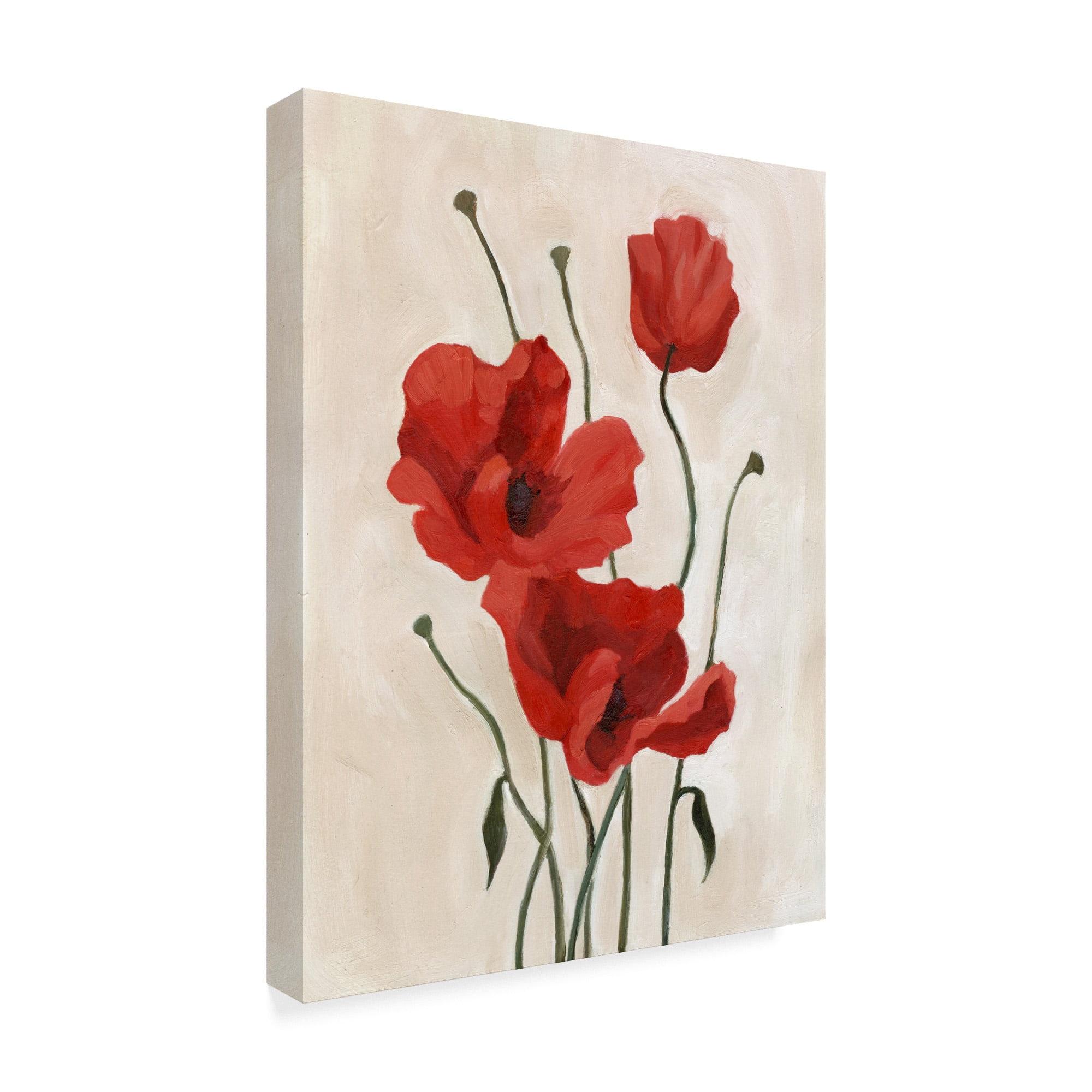 Trademark Fine Art 'Poppy Bouquet II' Canvas Art by Emma Scarvey