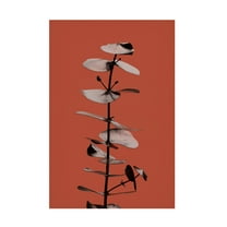 Canvas Wall Art - Pictufy Studio Iii 'Eucalyptus Rust 02' Wall Art for Living Room, Bedroom, or Office D?cor by Trademark Fine Art - 16 x 24 Inches