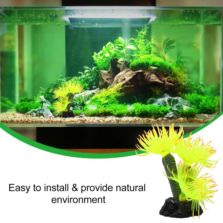 Sand Substrate For Goldfish