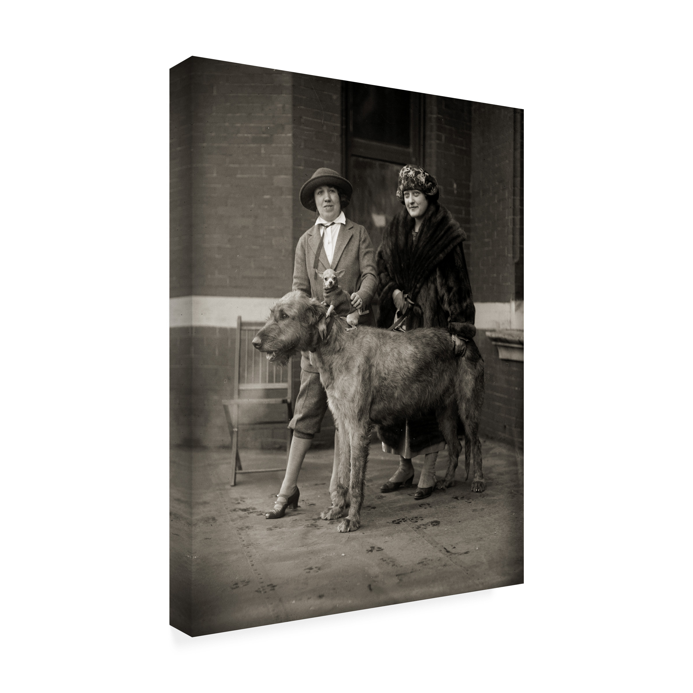 Print Collection 'All Creatures Large and Small' Canvas Art