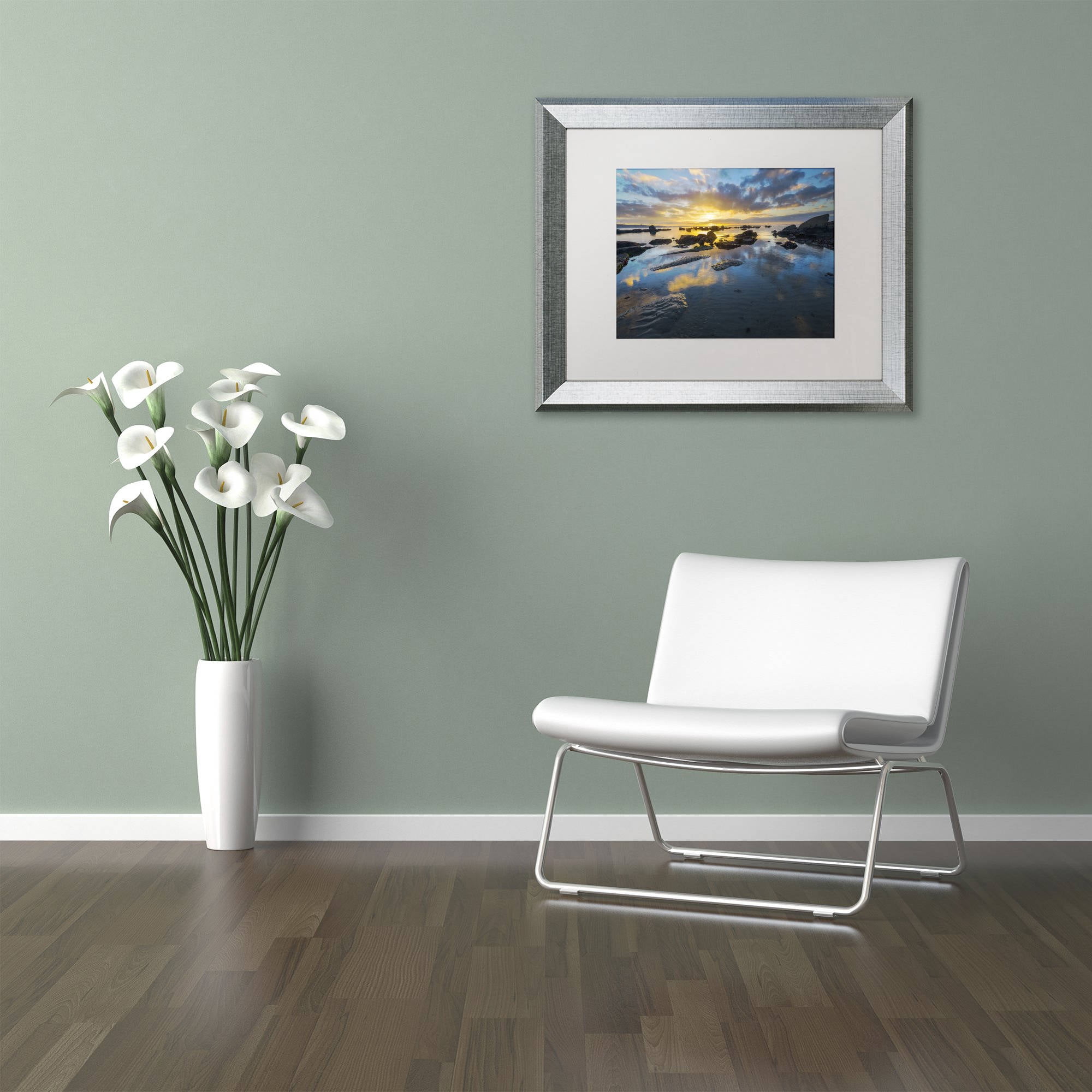 Trademark Fine Art "Nature's Gift" Canvas Art by Mathieu Rivrin, White Matte, Silver Frame