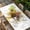 White, variant on Yellow Sunflowers Table Cloths for 6 Foot Rectangle Tables, You Are My Sunshine Wood Rustic Patio Waterproof Elastic Fitted Tablecloths, Washable Rectangular Table Cover for Camping