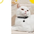 thumbnail image 3 of Collar Para Mascota Ajustable Perro Gato Raza Talla Pequeña negro 6.49 pulg Poli Pets PP-COPMPK-CH, 3 of 6