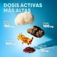 thumbnail image 3 of Café Molido con Hongos Adaptógeno USDA Orgánico 315g - Nootrópico con Melena de León, Cordyceps, Chaga. Mushroom Coffee para Energía, Concentración, Memoria, Mente. Tueste Medio Chiapas para Cafetera, 3 of 8