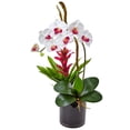thumbnail image 2 of 26” Orchid and Bromeliad in Glossy Black Cylinder by Nearly Natural, 2 of 4