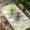 Green, variant on Green Floral Table Cloths for 4 Foot Rectangle Tables, round Floral Ethnic Abstract Patterned Patio Waterproof Elastic Fitted Tablecloths, Washable Rectangular Table Cover for Camping