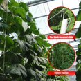 thumbnail image 2 of 10pcs Tomato Support Hooks Plant Climbing Hooks, 2 of 5