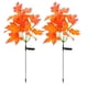 thumbnail image 3 of Luces Solares Estaca Wdftyju Hoja Arce, 3 of 9