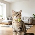 thumbnail image 4 of Outdor Reflective Cat Collar With Breakaway Buckle For Outdoor Use Adjustable Soft Nylon Necklace Lost Escape Proof, 4 of 4