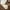 White, variant on DondPO Bras for Women Thin One Underwear for Women with Small Breasts Gathered and To Sagging and Collect Breasts No Breathable Bra Everyday Bras No Wire Bras for Women Black L Clearance！