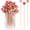 Gold, variant on 100 Pack Fruit Toothpicks, Heart-Shaped Bamboo Cocktail Picks, Natural Bamboo Toothpicks for Appetizers Fruit Cake Dessert Barbecue Snacks Sandwiches (Gold)