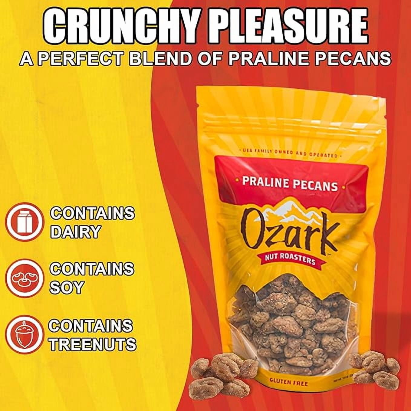 OZARK NUT ROASTERS, Praline Pecans, Sweet & Creamy French-Inspired Gourmet Snacks, World-Class Gourmet Candied Nuts, Resealable Pack (14 oz)