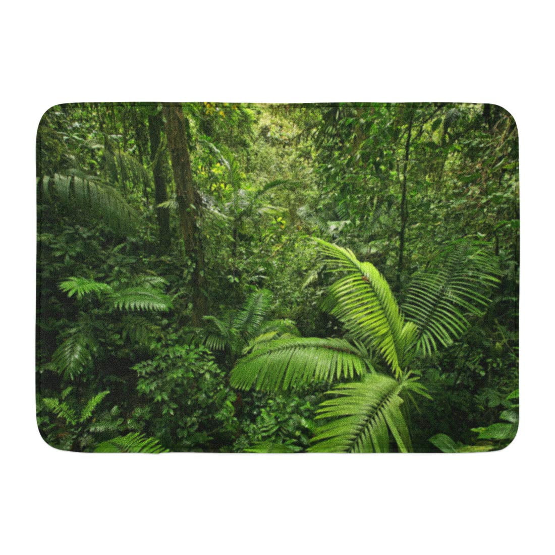 KDAGR Green Jungle Scene Looking Straight Into Dense Tropical Rain ...