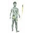 thumbnail image 3 of Safety Works 10096501 Longe de Jambe Simple de 6 Pieds, 3 of 3