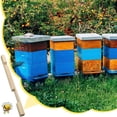 thumbnail image 2 of El Reductor de Entrada de Colmena de Madera de Colmenas de Abejas Se Utiliza para la Apicultura, el Control de la Ventilación Y la Prevención Del Robo de Miel, Así Como los Suministros de Apicultura., 2 of 7