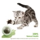thumbnail image 5 of Bola giratoria de hierba gatera para gatos, limpieza de dientes, Molar, juguetes interactivos para mascotas (verde), 5 of 5