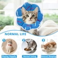 thumbnail image 5 of Miaocao Soft Adjustable Cat Cone Collar, Comfortable Cat Recovery Collar, 5 of 8