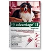 BAYER 004BAY-04461766 Advantage II for Large Dogs 21 - 55 lbs Red - 6 Months