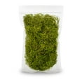 thumbnail image 2 of ⭐ BEST POTTING MIXES - Spanish Moss in Spring Green| Natural Preserved - Great Ground Cover - Filler for Potted Plants - by Gardenera - 20 Quart Bag, 2 of 5