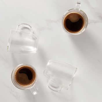 Bodum Bistro Latte 15 oz Double Wall Glass Set of 2