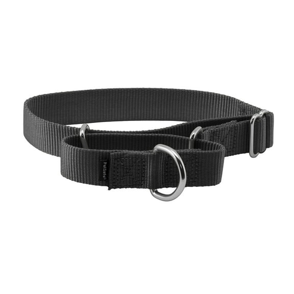 PetSafe Martingale Dog Collar, Greater control and reduce the risk of slipping out, Medium, 1 in, Black