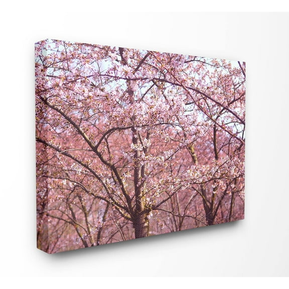 The Stupell Home Decor Pink Sky Cherry Blossom Forest Photography Canvas Wall Art