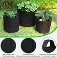thumbnail image 3 of 3/5/10-gallon Vegetable/flower/plant Growth Bag, Inflatable Fabric Flowerpot with Handle (black), with 12 Plant Labels, 3 of 8