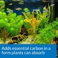 thumbnail image 3 of Potenciador de CO2 API para tratamiento de plantas 240 ml para acuarios de agua dulce, 3 of 6